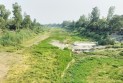 পানিশূন্য হুরাসাগরে হচ্ছে ফসলের আবাদ! 